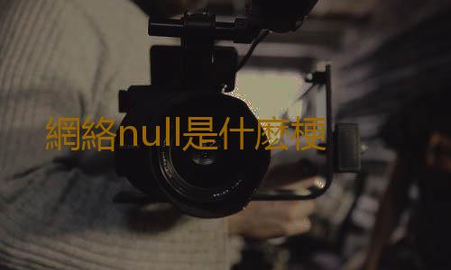 網絡null是什麽梗