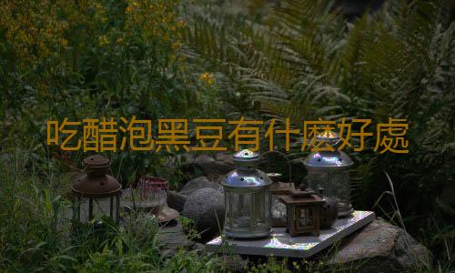 吃醋泡黑豆有什麽好處