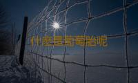 什麽是葡萄胎呢