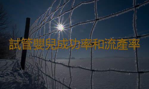 試管嬰兒成功率和流產率各多少？